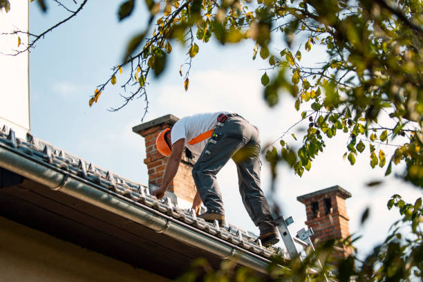 Best Best Roofing Contractors  in Litchfield, MI