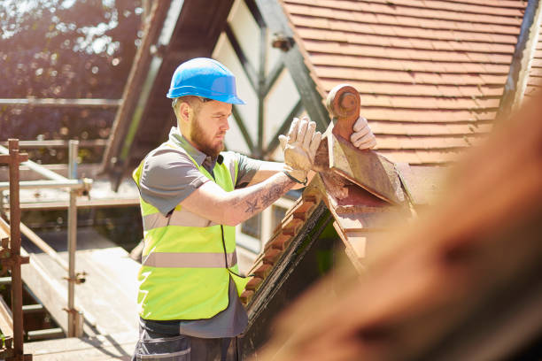 Best Roof Inspection Near Me  in Litchfield, MI